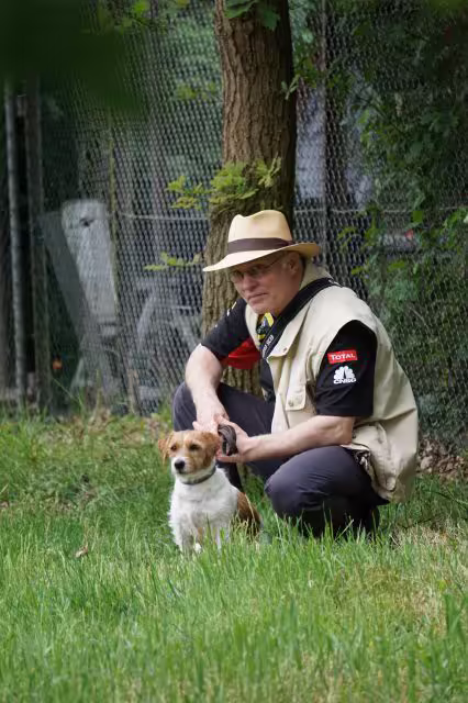 Jack Russell Terriër van Lumberlake kennel