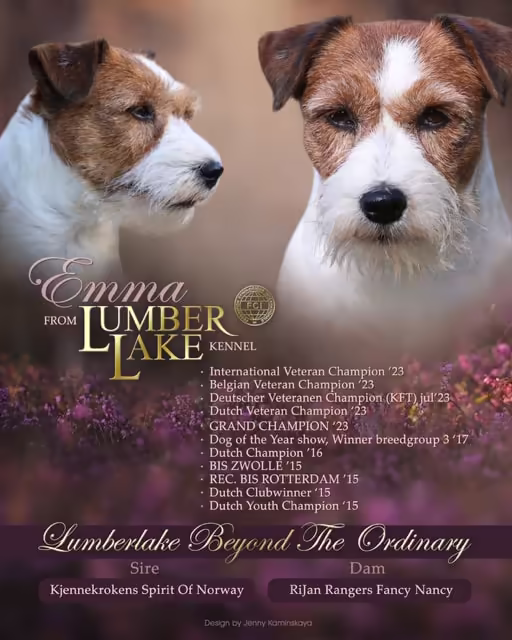 Jack Russell Terriër van Lumberlake kennel